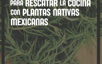 La UACh lanza concurso para rescatar la cocina con plantas nativas mexicanas