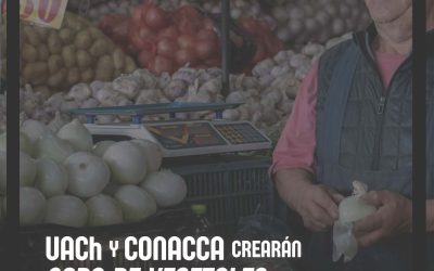 UACh y CONACCA crearán sopa de vegetales