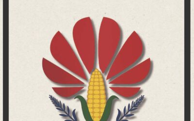 Nace la academia de Huawei-Chapingo