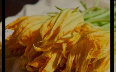 Cocinando con plantas nativas