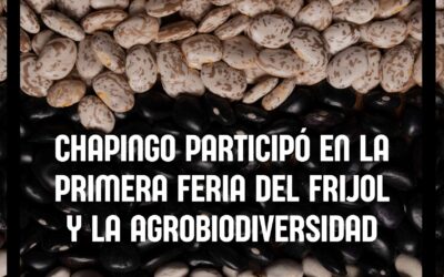 Chapingo partició en la Primera Feria del Frijol y la Agrobiodiversidad