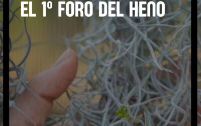 Primer Foro del HENO
